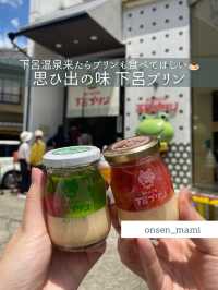 【岐阜 下呂温泉】下呂温泉のお土産におすすめ♨️下呂プリン🍮