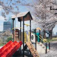 【2024櫻花】成田山公園：粉紅花海