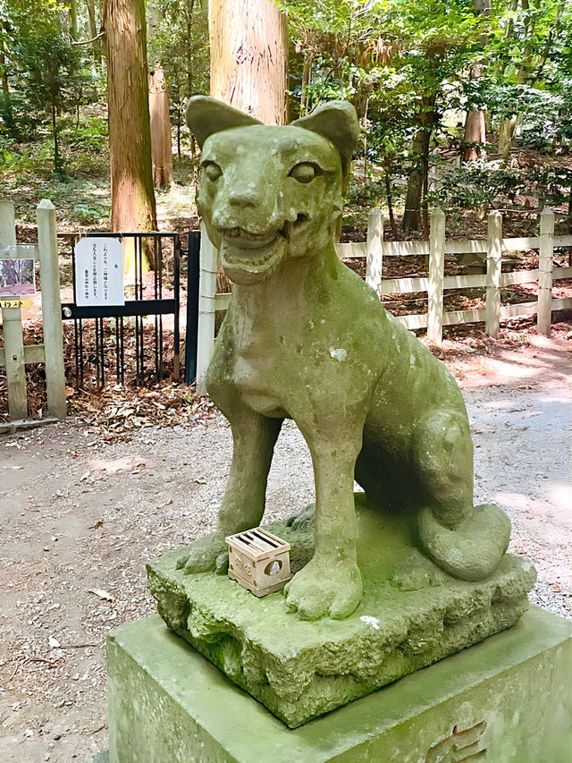 【寶登山神社/埼玉県】寶登山山頂にある存在感放つ聖地