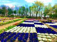 Fukaya Green Park
