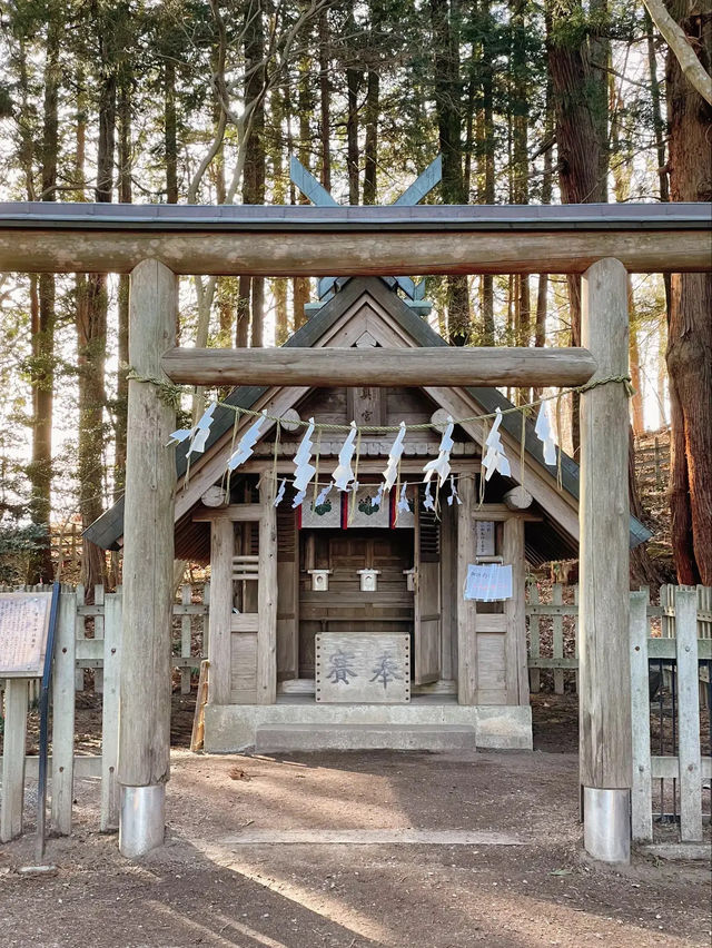 【秩父】都内からの日帰り一人旅にも◎パワースポット寳登山神社⛩