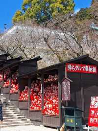 katsuoji temple