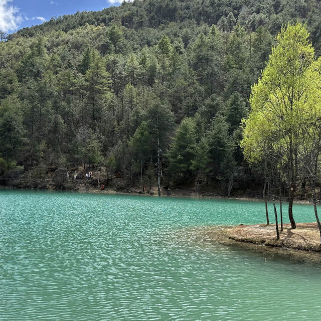 【玉龍雪山】藍月谷：靚景，有人吸氧
