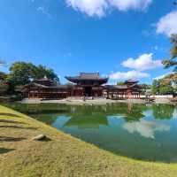 【京都】10円玉に描かれているスポット⭐平等院⭐