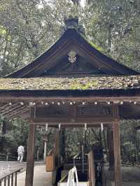 【奈良観光】日本最古のお寺へ⛩ 