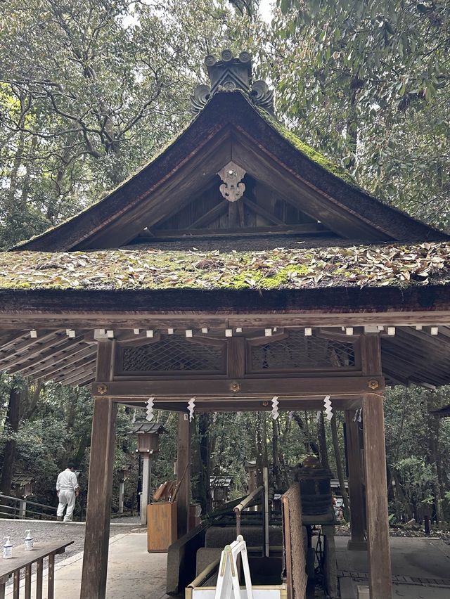 【奈良観光】日本最古のお寺へ⛩ 