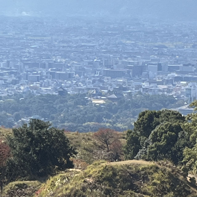 【世界遺産】春日山原始林　〜春日山遊歩道