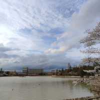 福島開成山公園：福島境內四座寶可夢公園之一，吉利蛋公園