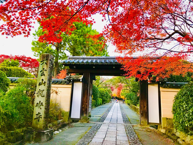 A city dances between past and present🇯🇵❤️