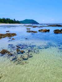 Daintree National Park