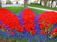 Emirgan Tulip Garden