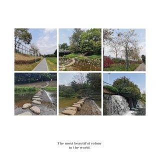 社子埤塘生態公園：自然風光