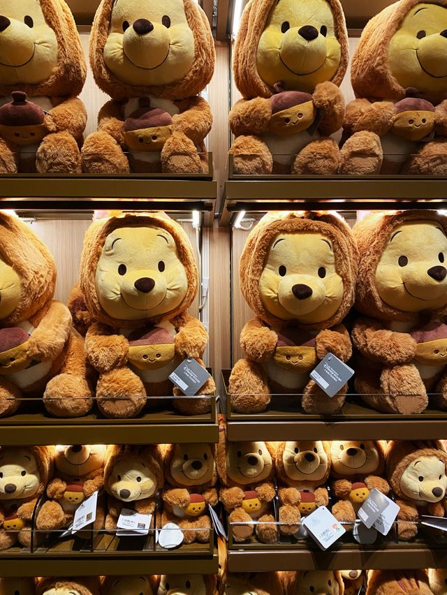 Winnie the Pooh in the house 🧸