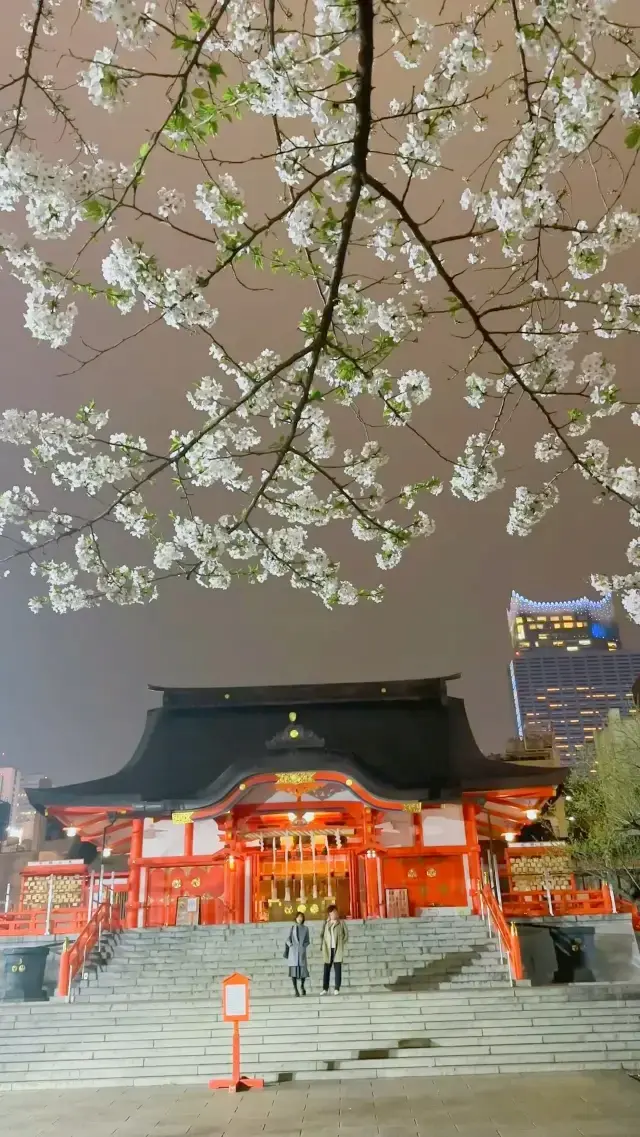 【東京】ライトアップが美しい花園神社⛩️