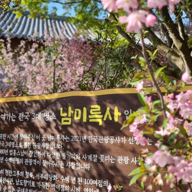 남미륵사 서부해당화