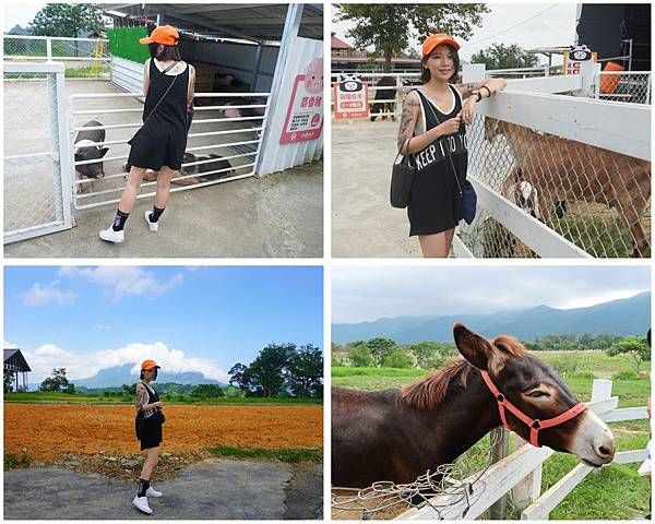 台東親子旅遊大推初鹿牧場chill一天