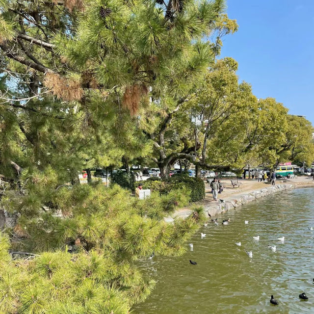 「世田谷古城園區:穿越時空,感受城池防禦的絕佳文化體驗!」 「世田谷古城園區:穿越時空,感受城池防禦的絕佳文化體驗!」