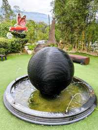 Buzzing with Fun: Exploring the Bee Farm and Insect World