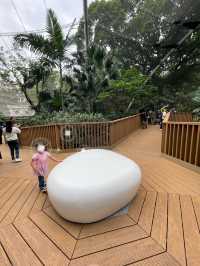 🌟春日探訪香港綠洲:尤德觀鳥園🌿