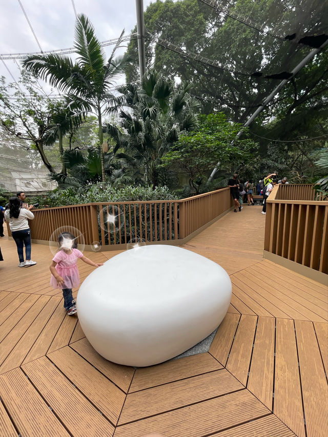 🌟春日探訪香港綠洲:尤德觀鳥園🌿 🌟春日探訪香港綠洲:尤德觀鳥園🌿