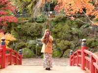 熱海梅園の紅葉