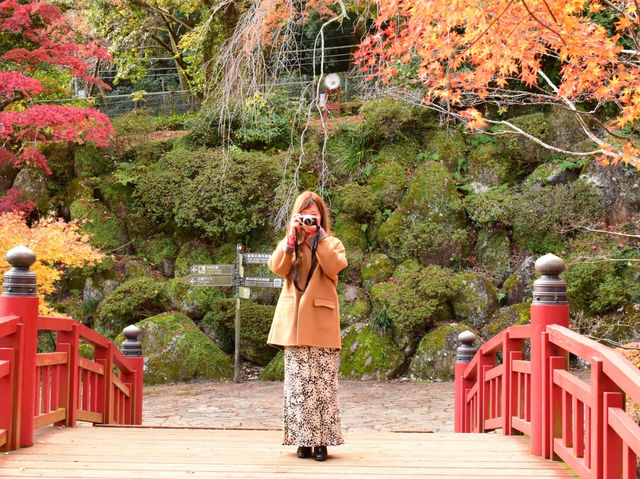 熱海梅園の紅葉