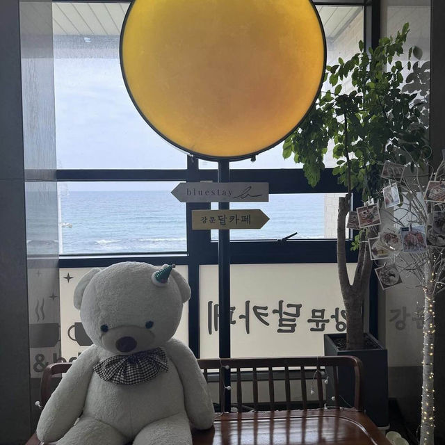 【韓国･江陵カフェ】📍강문달카페（カンムンタルカフェ）
