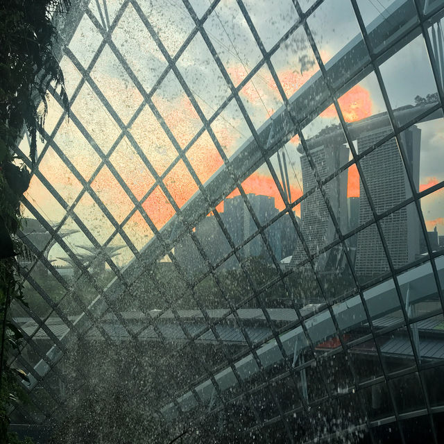 A Magical Escape to Cloud Forest, Singapore 🌿
