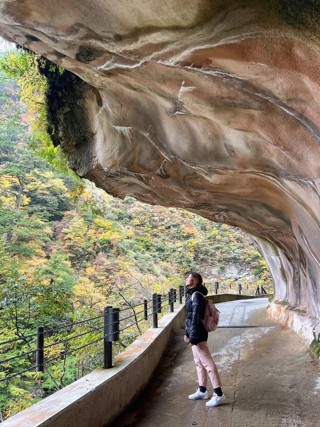 🚂 Kurobe Gorge ทางรถไฟสุดโรแมนติกในญี่ปุ่น