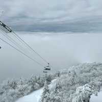 札幌國際滑雪場：豐富滑雪體驗