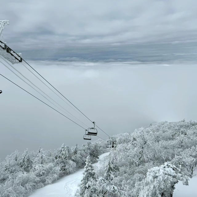 札幌國際滑雪場：豐富滑雪體驗
