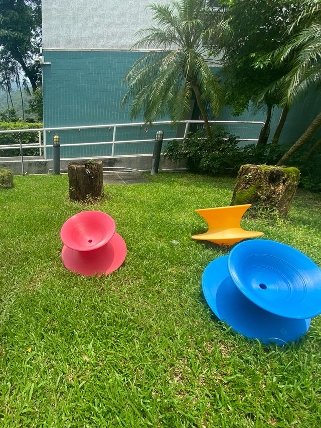 酒店內的香草園 🤍 散發迷人自然氣息