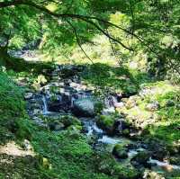 養老の滝
