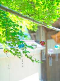 【静岡】期間限定‼️眼病平癒のご利益も✨ガラスと錫の風鈴の音色に癒される寺院を紹介🔍