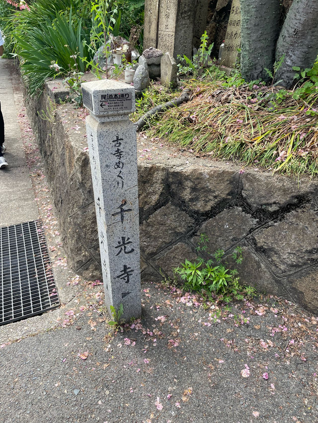 広島　尾道の長い階段の先にある絶景🍁
