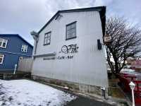 冰島｜南部維克鎮餐廳推介