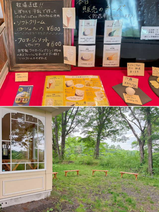 搾りたて牛乳で作ったチーズソフト🍦🧀