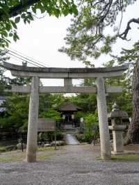『あ、うん』？？？ご利益/世にも珍しい花井戸と花手水 長浜八幡宮と舎那院