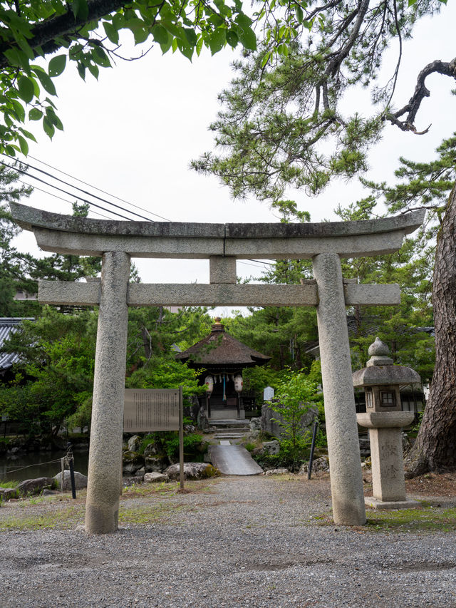 『あ、うん』？？？ご利益/世にも珍しい花井戸と花手水 長浜八幡宮と舎那院