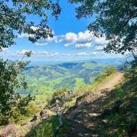 拉拉山國家森林公園：壯闊山景