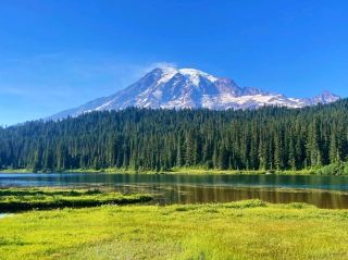 👣 Visit Mt Rainier National Park
