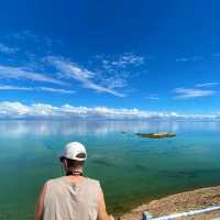 Wonders of Shark Bay World Heritage Area 🇦🇺🦈