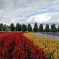 Hokkaido: Japan's Pristine Wilderness and Cultural Delights