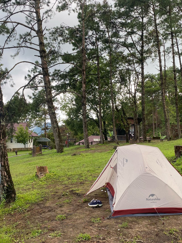 ม่อนสน | เชียงใหม่ 🏕️🌧️⛰️🐶