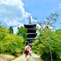 〜京都府〜世界遺産仁和寺！勝負のパワスポ！