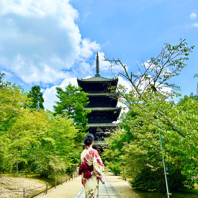 〜京都府〜世界遺産仁和寺！勝負のパワスポ！