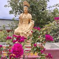 Explore the Unique Ten Thousand Buddhas Monastery