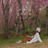 ภูลมโล เลย