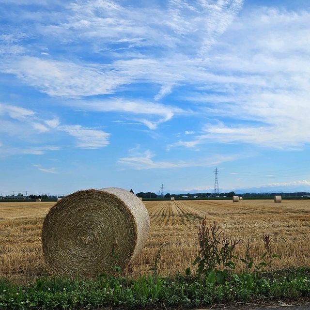 【北海道】十勝平野