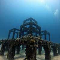 Dive into an exotic Island of your dream